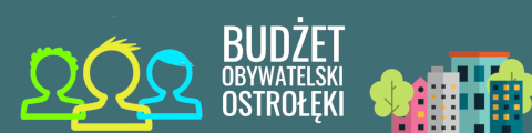 Budżet obywatelski