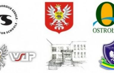 Polityka oświatowa w świetle działań samorządu terytorialnego