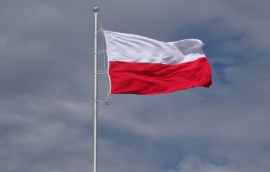 Bezpłatne flagi na Dzień Flagi