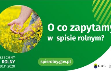 Powszechny Spis Rolny 2020 – jakie będą pytania?
