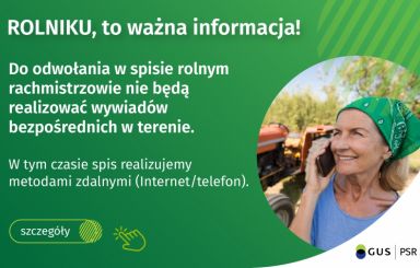 Komunikat Dyrektora Centralnego Biura Spisowego 