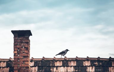 Trwa inwentaryzacja źródeł ciepła