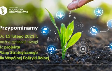 Ruszyły konsultacje projektu Planu Strategicznego dla Wspólnej Polityki Rolnej