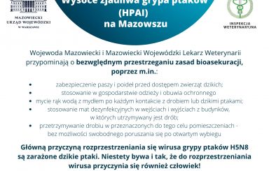 Wysoce zjadliwa grypa ptaków (HPAI) na Mazowszu - apel wojewody