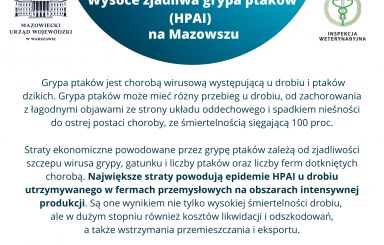 Wysoce zjadliwa grypa ptaków (HPAI) na Mazowszu – apel Wojewody do hodowców