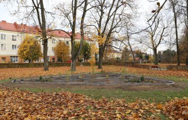 Nowa rabata roślinna na osiedlu Wojciechowice