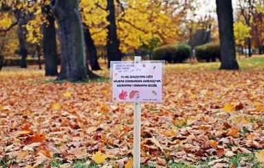 Tu nie sprzątamy liści