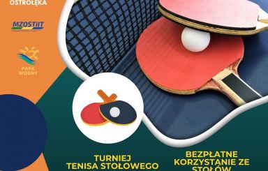Wakacyjny turniej tenisa stołowego