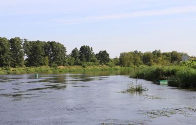 Sygnalizacja świetlna na Narwi
