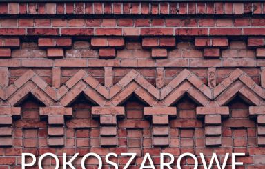Porozmawiajmy przy herbacie: Pokoszarowe - spacerem po Wojciechowicach
