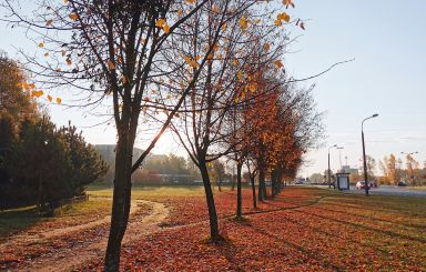 Zbudujemy park kieszonkowy na os. Centrum