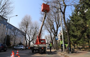 Budowa oświetlenia ulicznego w Ostrołęce