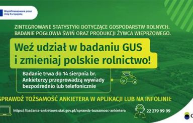 Badanie ankietowe GUS
