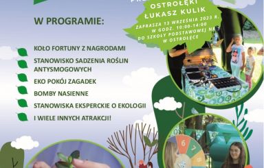 Ekologiczny piknik rodzinny