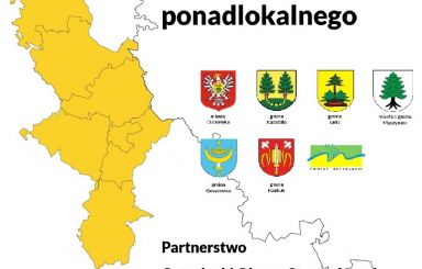 Konsultacje społeczne ws. projektu Strategii Rozwoju Ponadlokalnego Ostrołęckiego Obszaru Strategicznej Interwencji