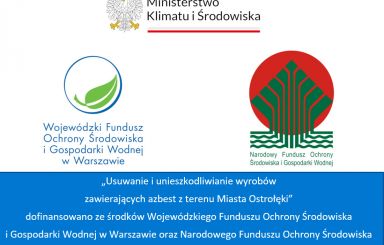 Usuwanie i unieszkodliwianie azbestu