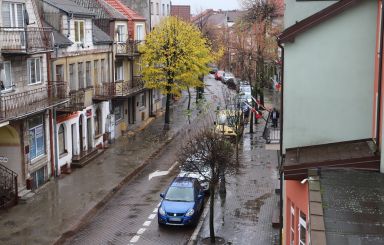Pielęgnacja drzew przy ul. Głowackiego i Kilińskiego. Nie parkuj auta!