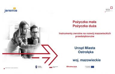Pomoc finansowa dla przedsiębiorców MŚP