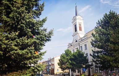 Zebranie wyborcze do Rad Osiedli Leśne, Łazek, Traugutta, Łęczysk
