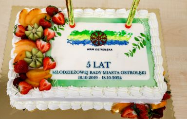 IV sesja Młodzieżowej Rady Miasta Ostrołęki!