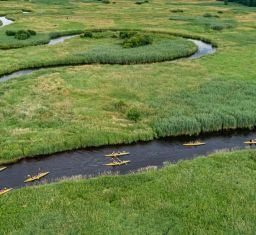 Nabór dla przedsiębiorców działających wokół szlaku „Pisa-Narew – szlak aktywnej turystyki wodnej